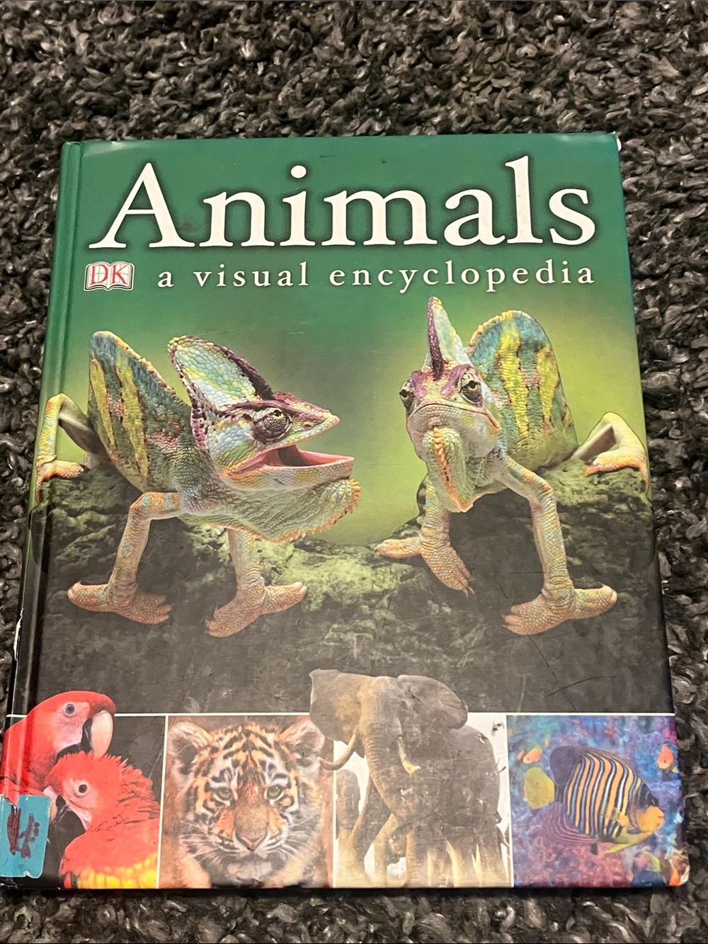 2/$10 Animals: A Visual Encyclopedia - Green Cover